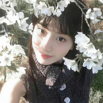 彩凤笙歌